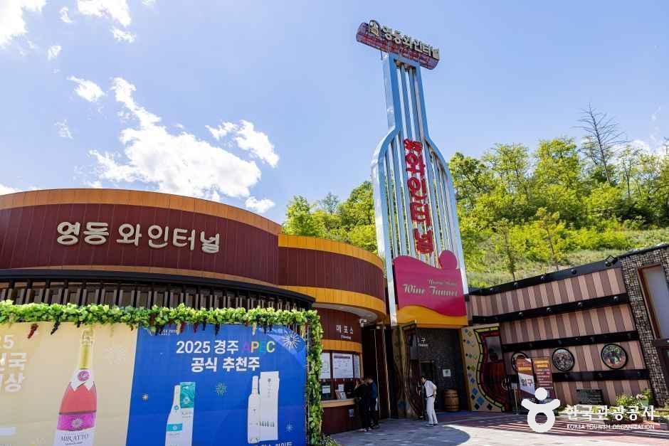 [충북] 영동 와인터널