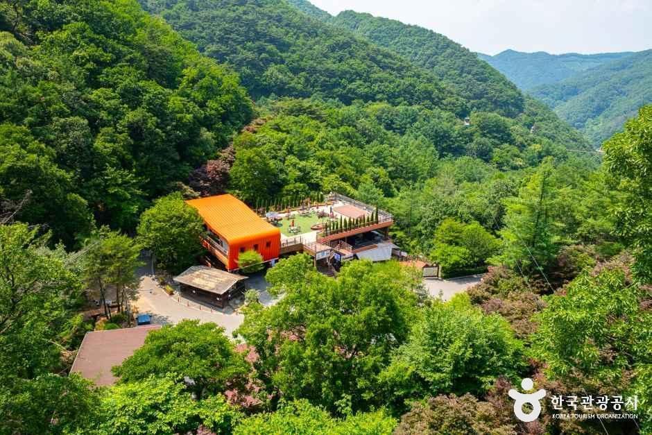 [충북] 좌구산 자연휴양림
