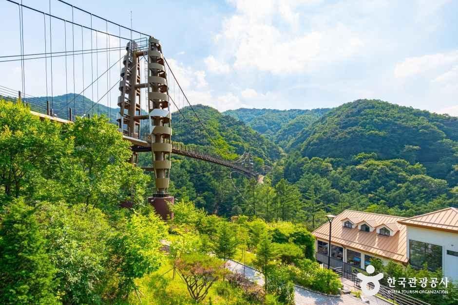 [충북] 증평 좌구산 명상구름다리