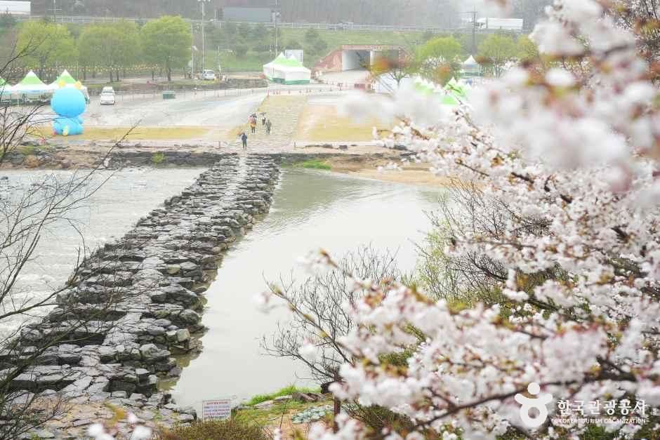 [충북] 진천 농다리