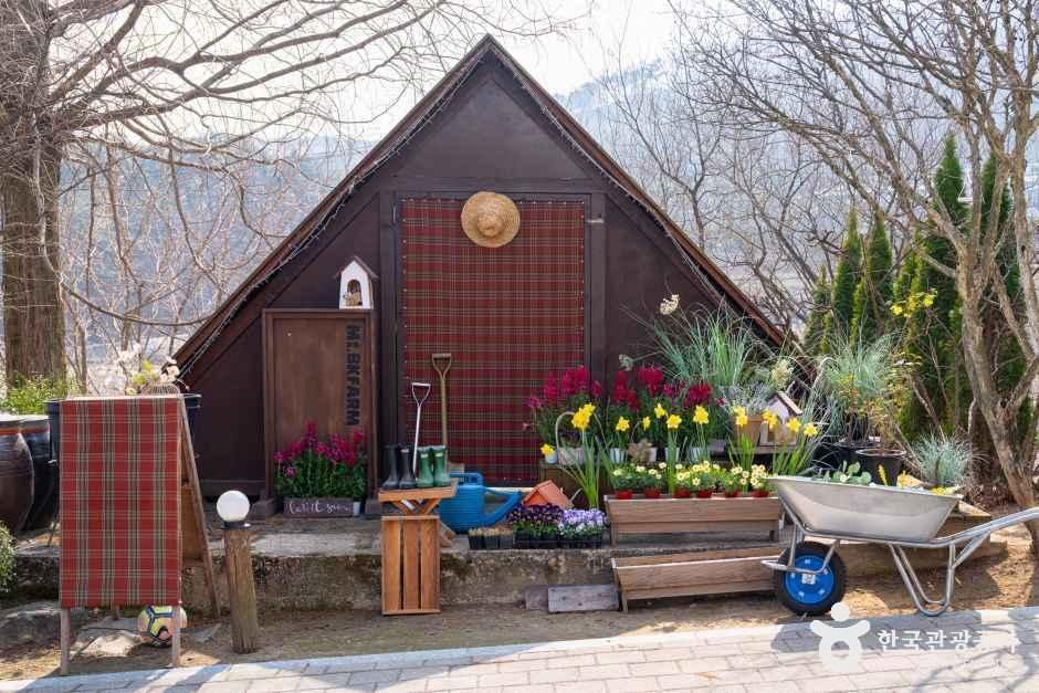 [충북] 보광산관광농원