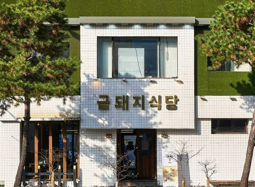[서울] 금돼지식당