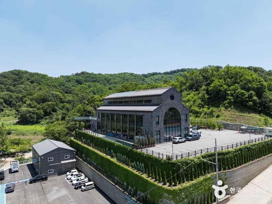 [충북] 트리브링