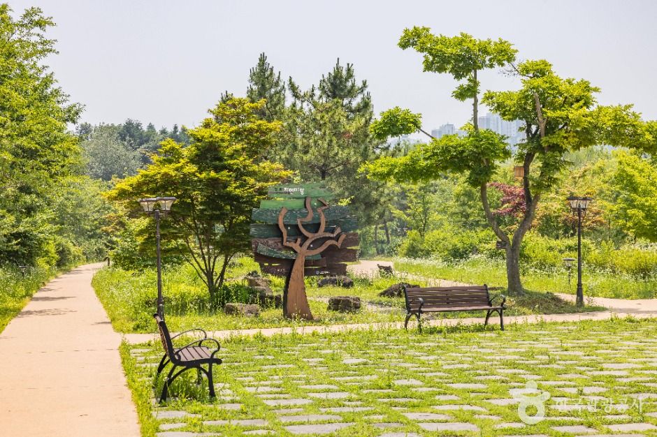 [인천] 연희자연마당