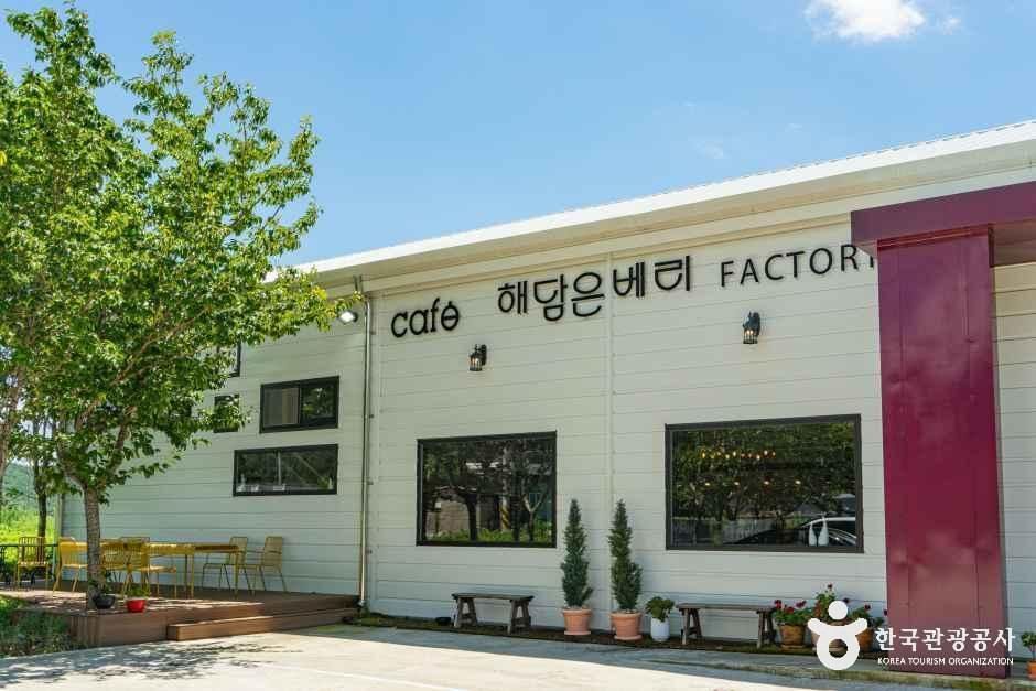 [전북] 카페 해담은 베리