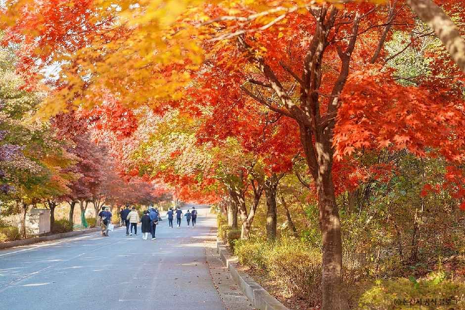 [충남] 대둔산도립공원(논산)