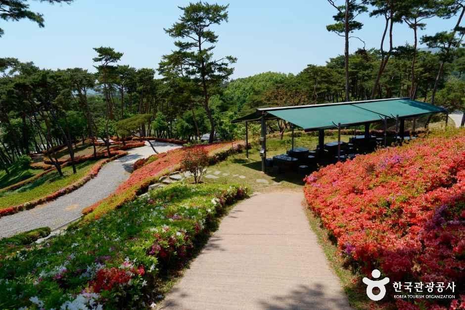 [충남] 홍성솔바람테마파크