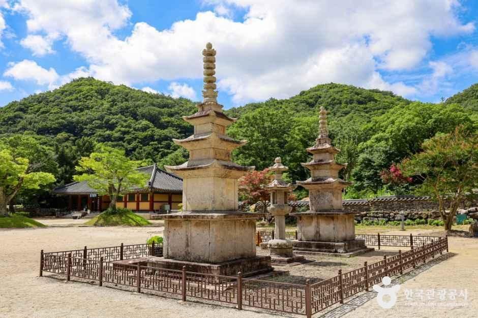 [전남광주통합특별시] 보림사(장흥)