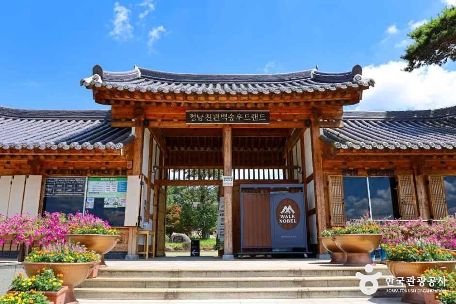 [전남광주통합특별시] 정남진 편백숲 우드랜드