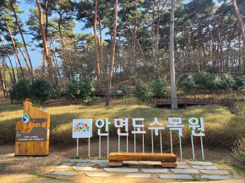 [충남] 안면도수목원