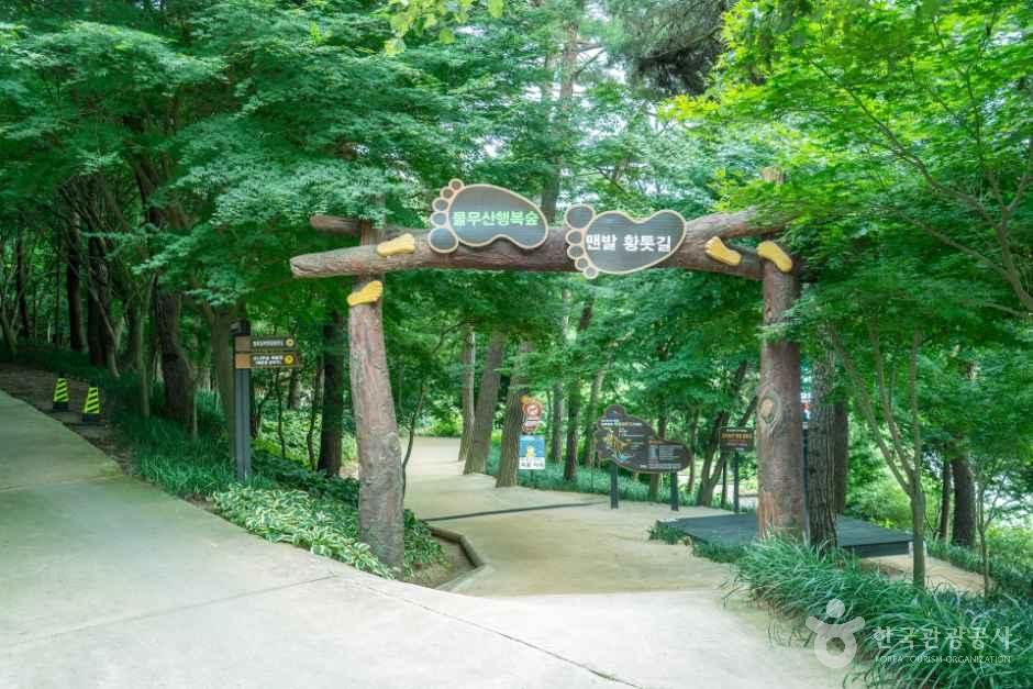 [전남광주통합특별시] 물무산 행복숲