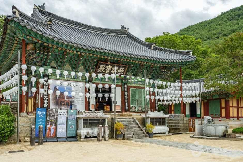 [전남광주통합특별시] 천은사(구례)