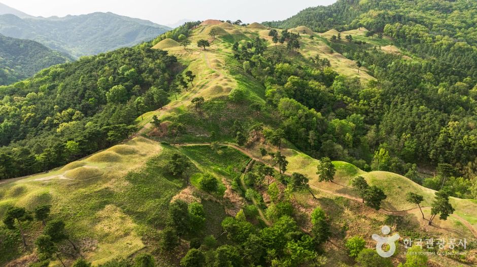 [경북] 고령 지산동 고분군