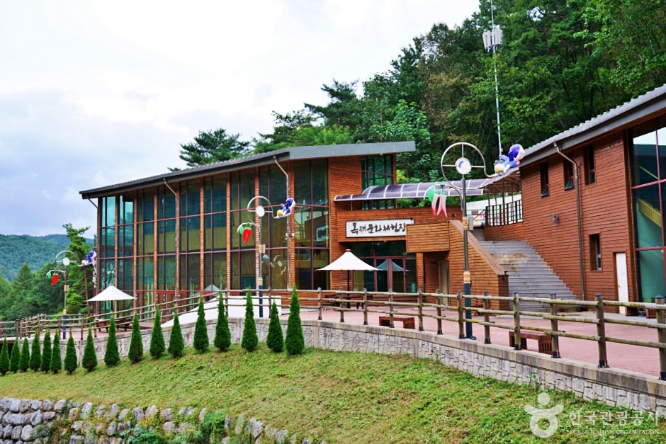 [경북] 흥림산자연휴양림 (영양에코둥지)