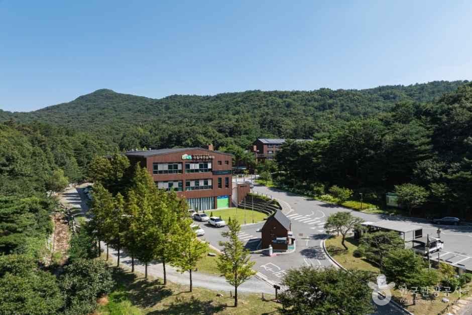 [대전] 국립대전숲체원