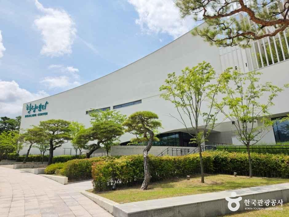 [충북] 레인보우힐링센터