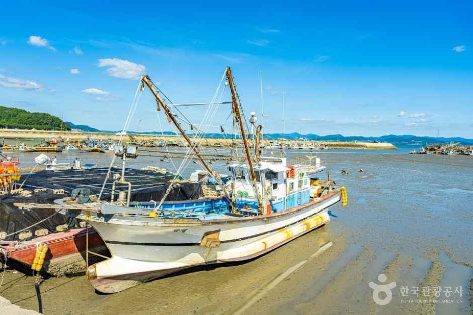 [전남광주통합특별시] 율포항