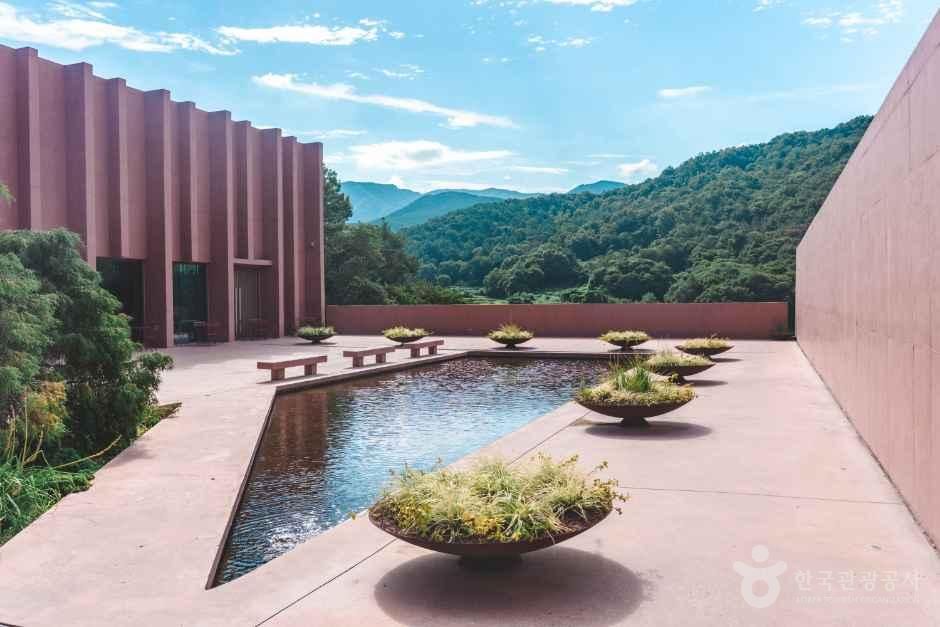 [울산] 시하온