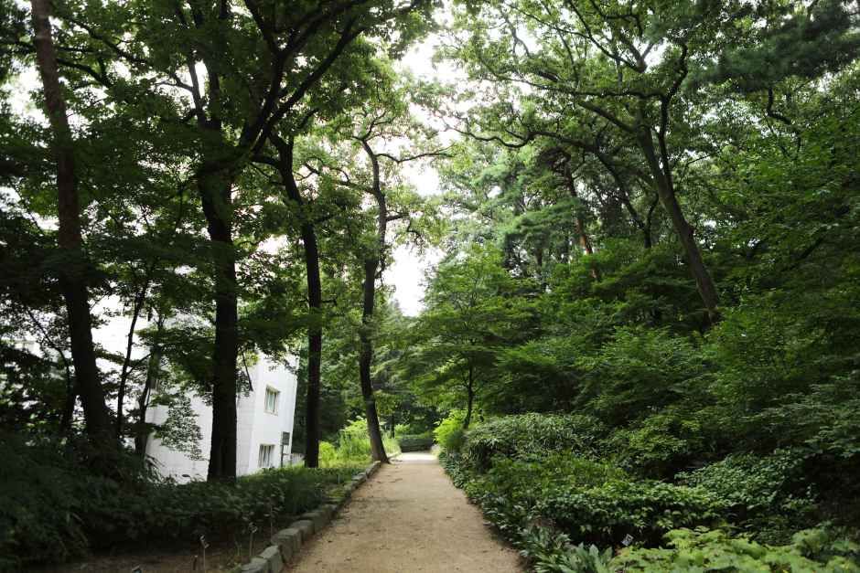 [서울] 국립산림과학원(홍릉시험림)