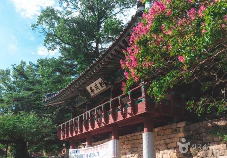 [울산] 작괘천(작천정계곡)