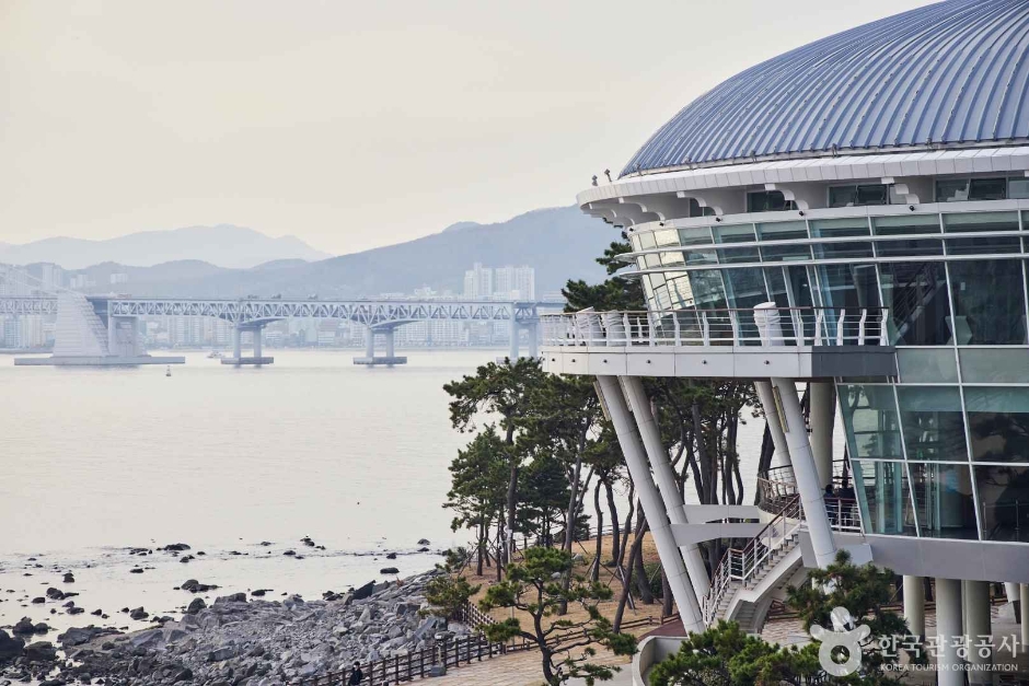 [부산] 해운대 동백섬
