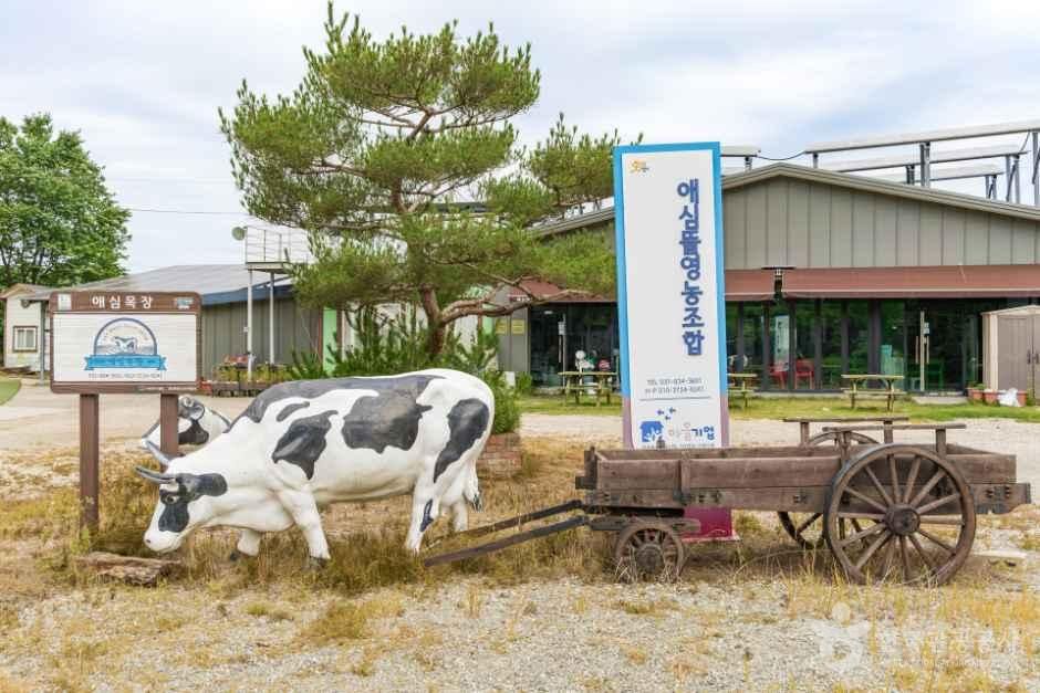 [경기] 애심목장