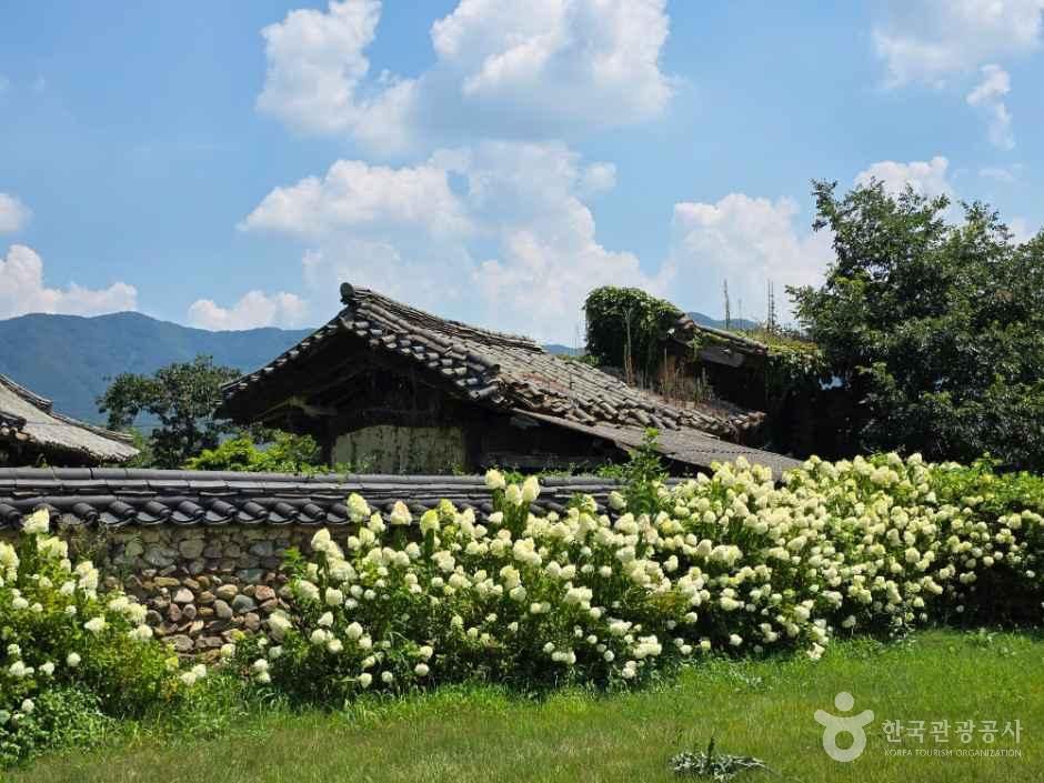 [전남광주통합특별시] 전남 담양 창평면 [슬로시티]