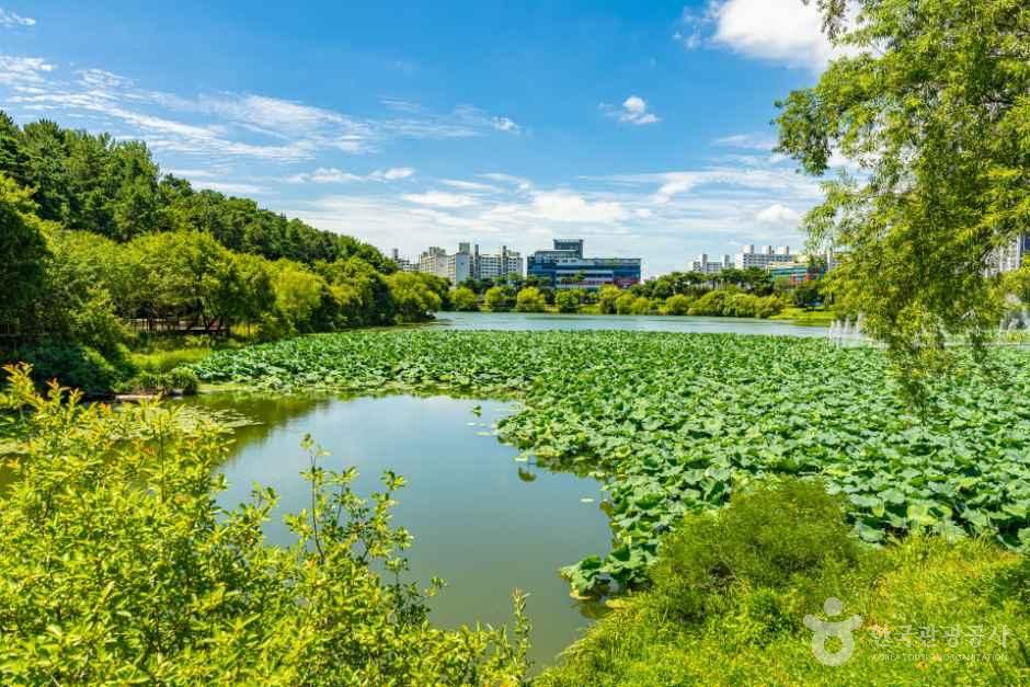 [전남광주통합특별시] 조례호수공원