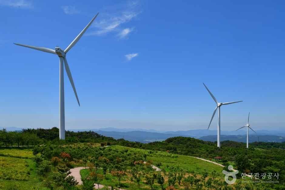 [경북] 경주 풍력발전(바람의언덕)