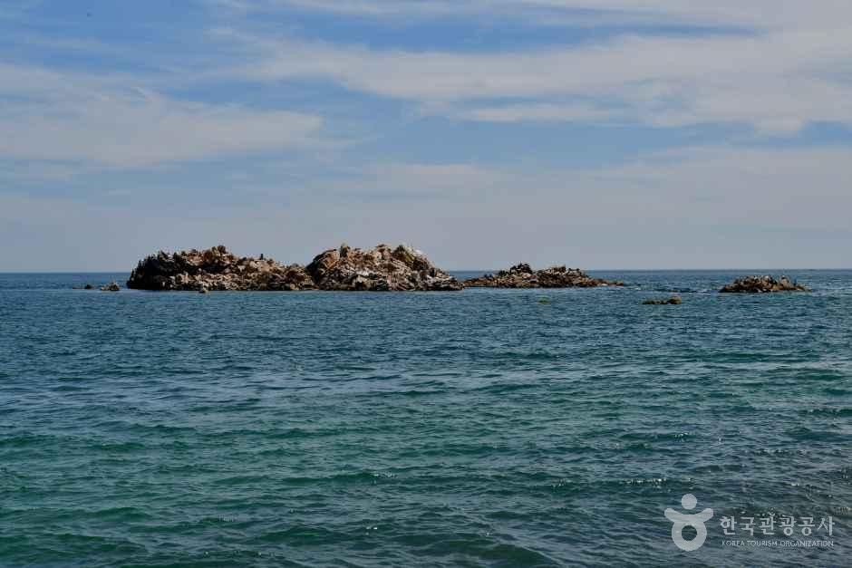 [경북] 경주 문무대왕릉