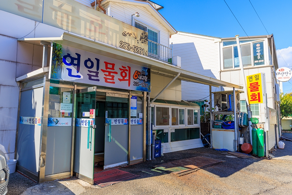 [경북] 연일물회