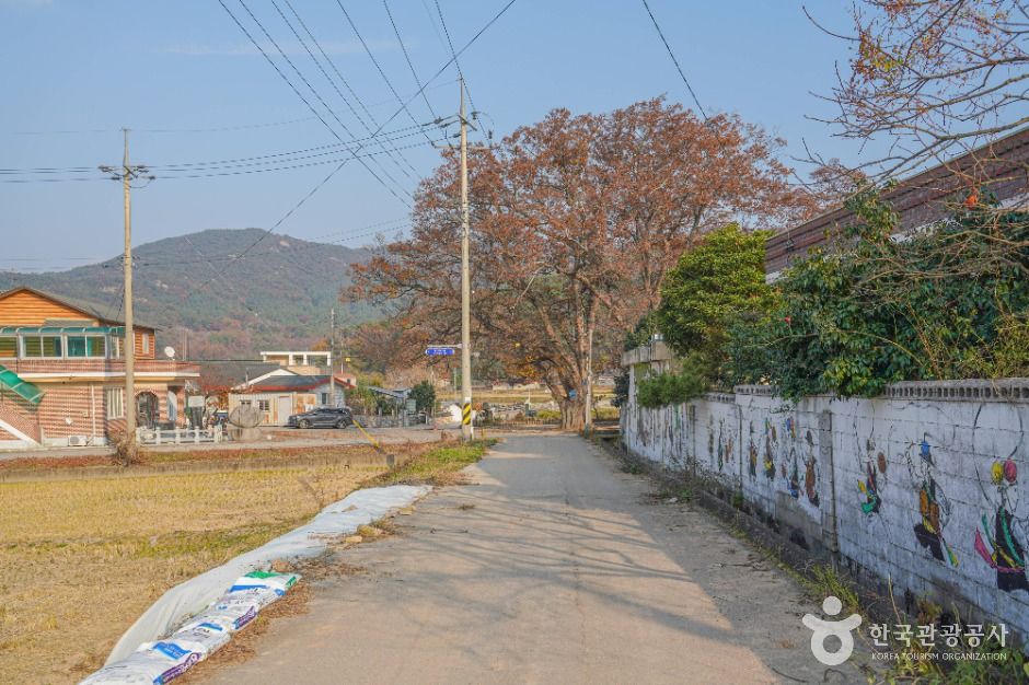 [전남광주통합특별시] 영광 용암마을