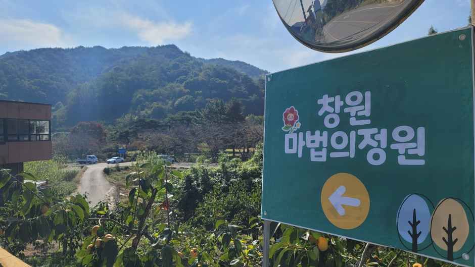 [경남] 창원마법의정원