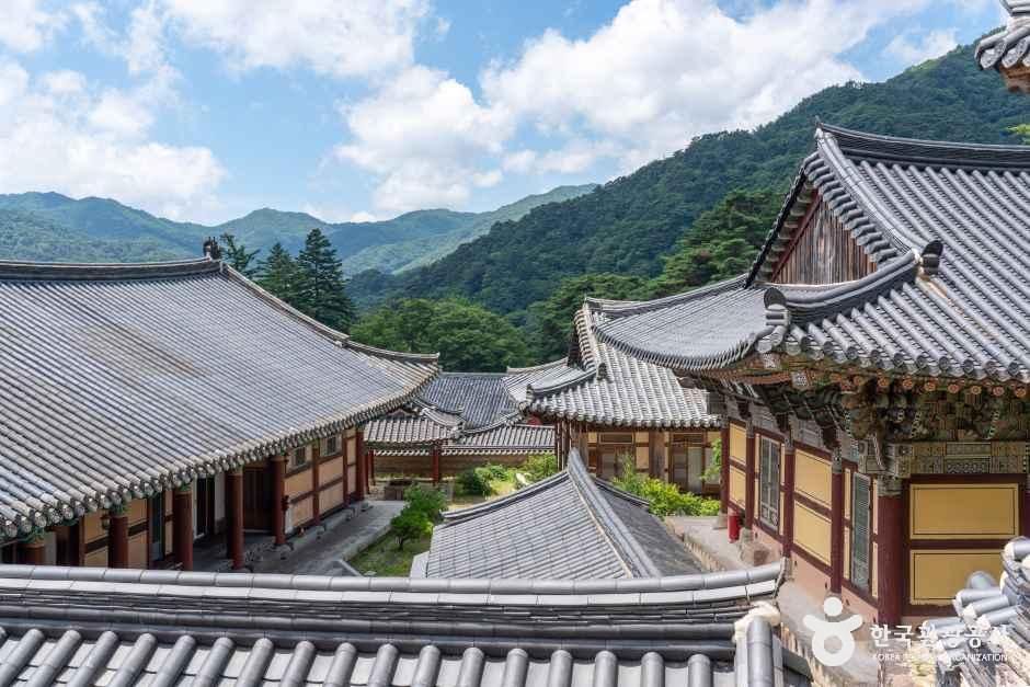 [경남] 해인사(합천)