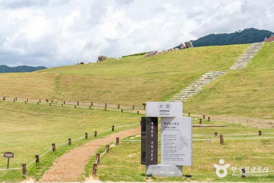 [경남] 김해 대성동 고분군