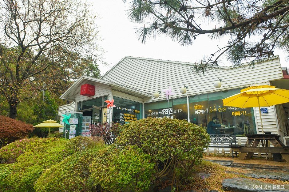 [충남] 곰선생동태씨