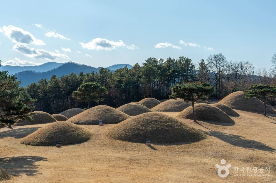 [경남] 합천 옥전 고분군