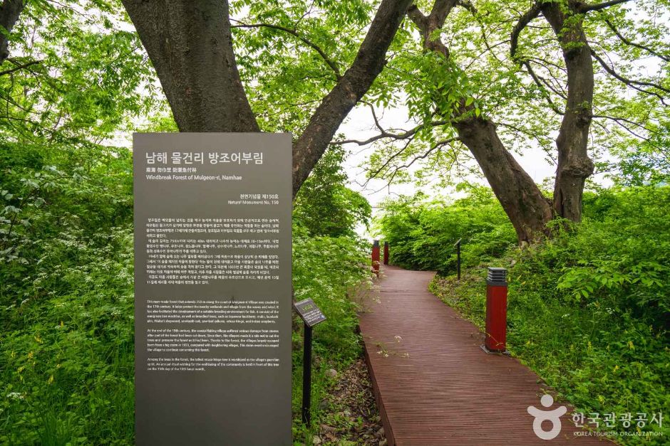 [경남] 남해 물건리 방조어부림