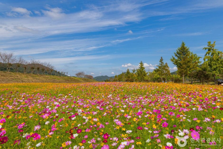 [경남] 호국의병의숲친수공원