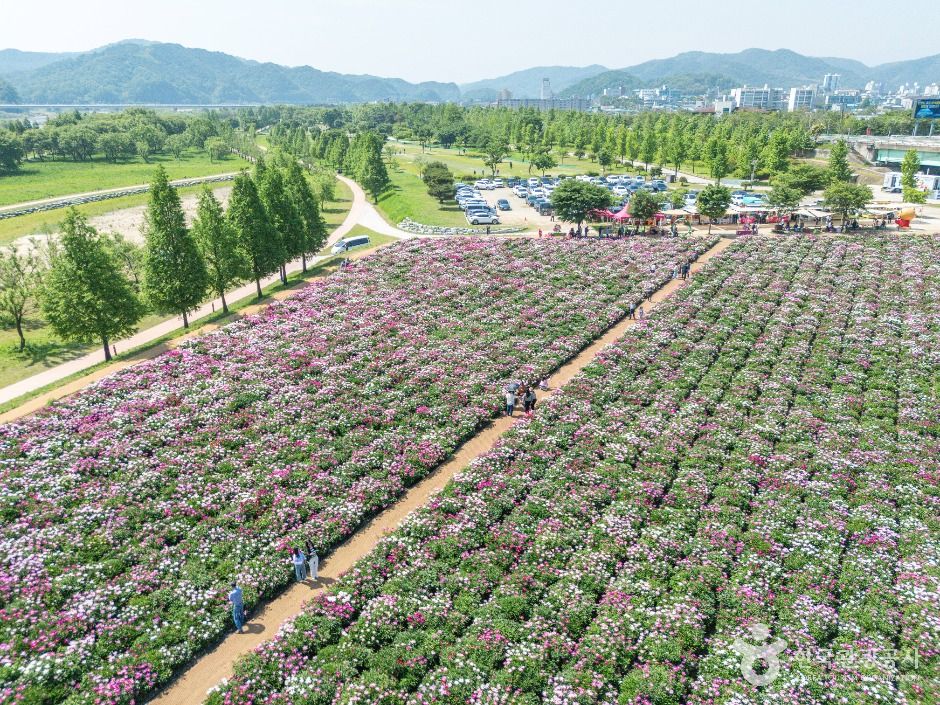 [경남] 핫들생태공원