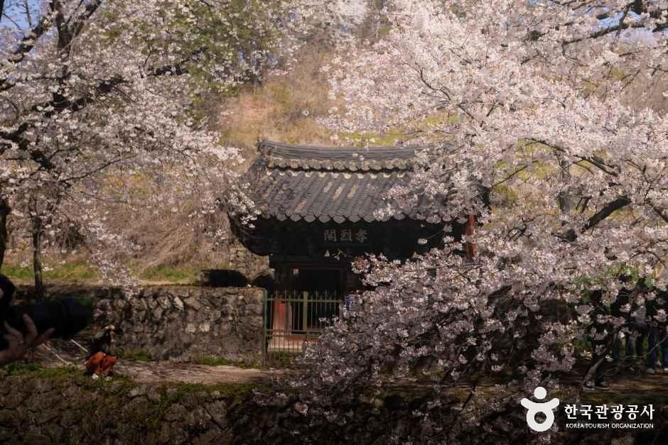 [경남] 용원정