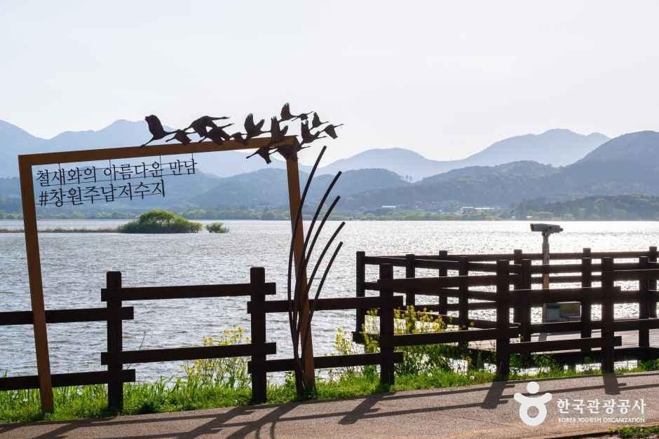 [경남] 주남저수지 철새도래지