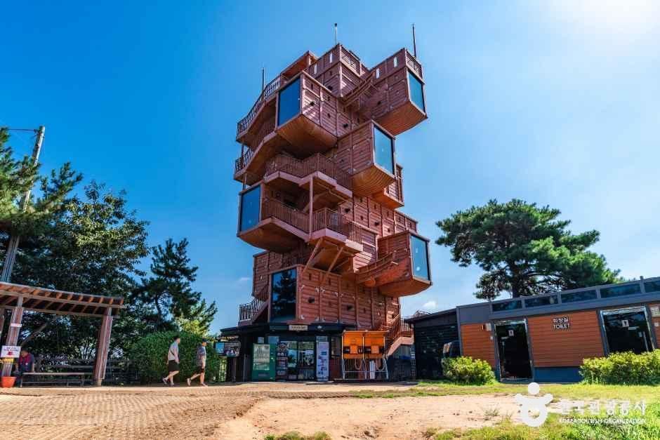[전남광주통합특별시] 고하도 전망대