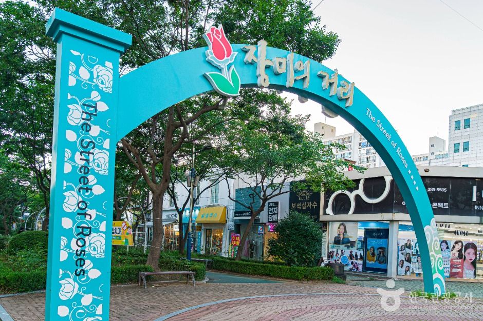 [전남광주통합특별시] 장미의거리