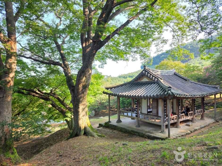 [전남광주통합특별시] 담양 명옥헌 원림