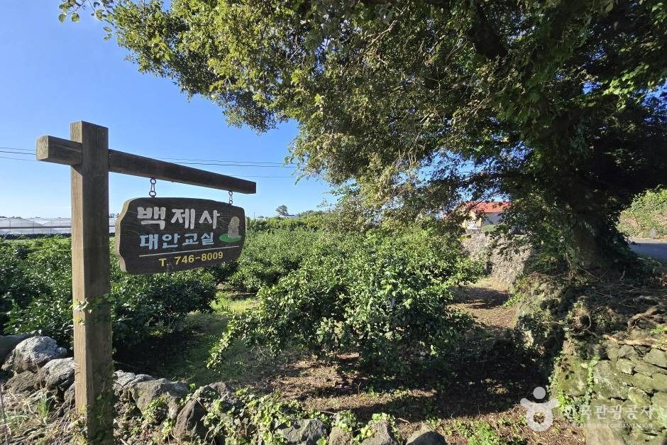 [제주] 백제사