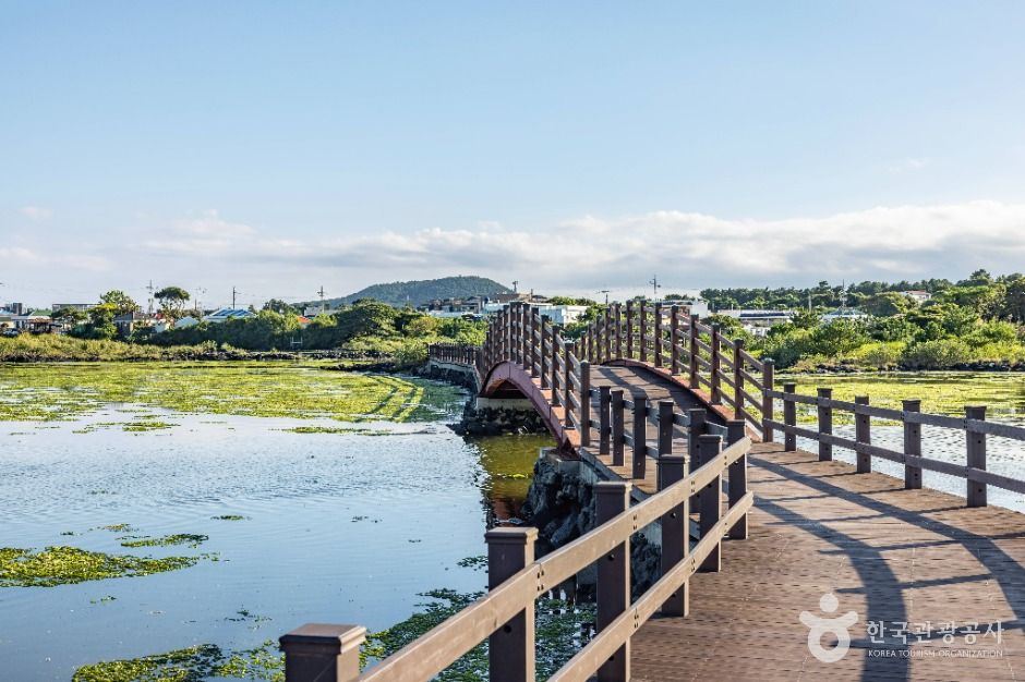 [제주] 오조포구