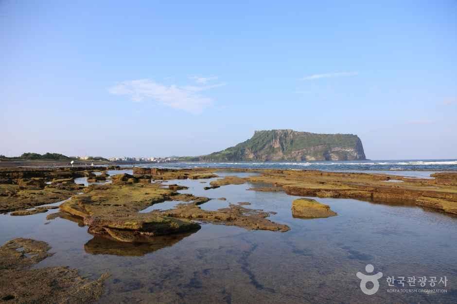 [제주] 광치기해변