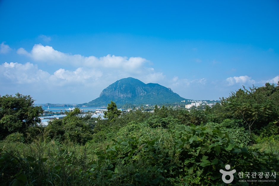 [제주] 안덕 월라봉