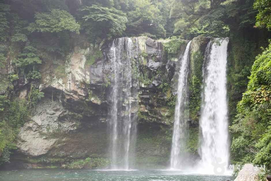 [제주] 천지연폭포